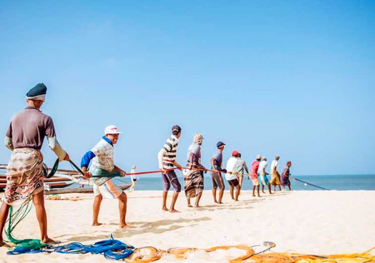 negombo (2)