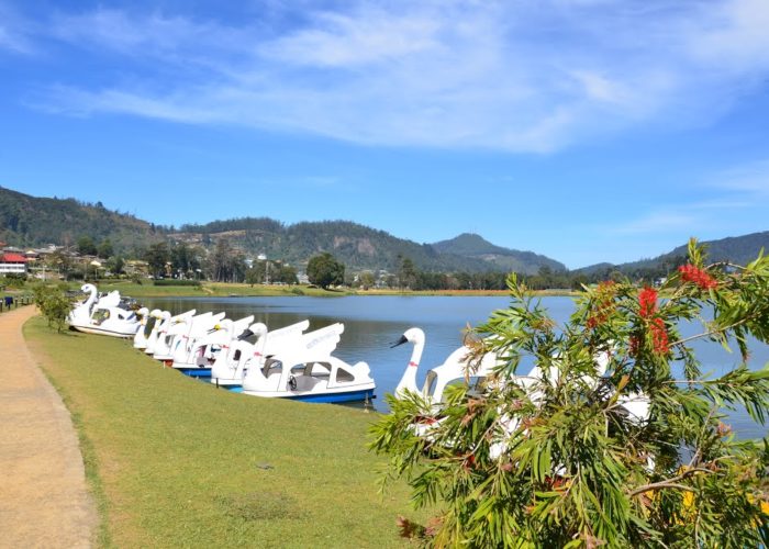Gregory lake (2)