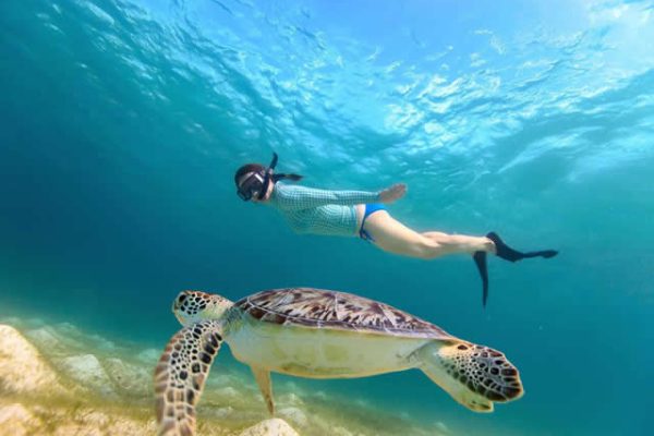 Diving & Snorkling